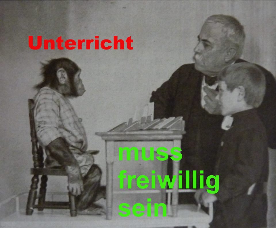 Endlich frei